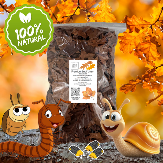 Premium Leaf Litter