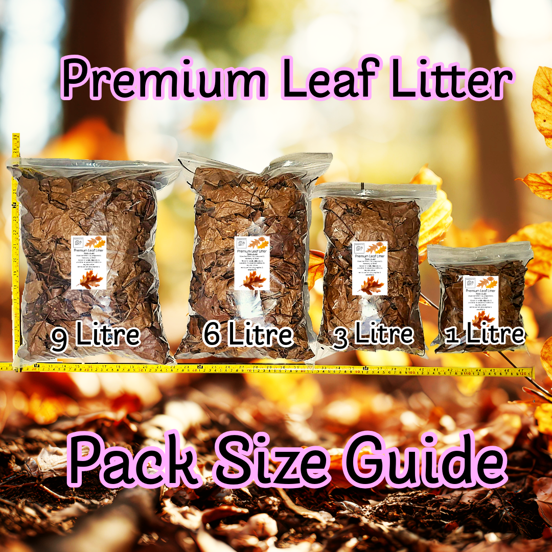 Premium Leaf Litter