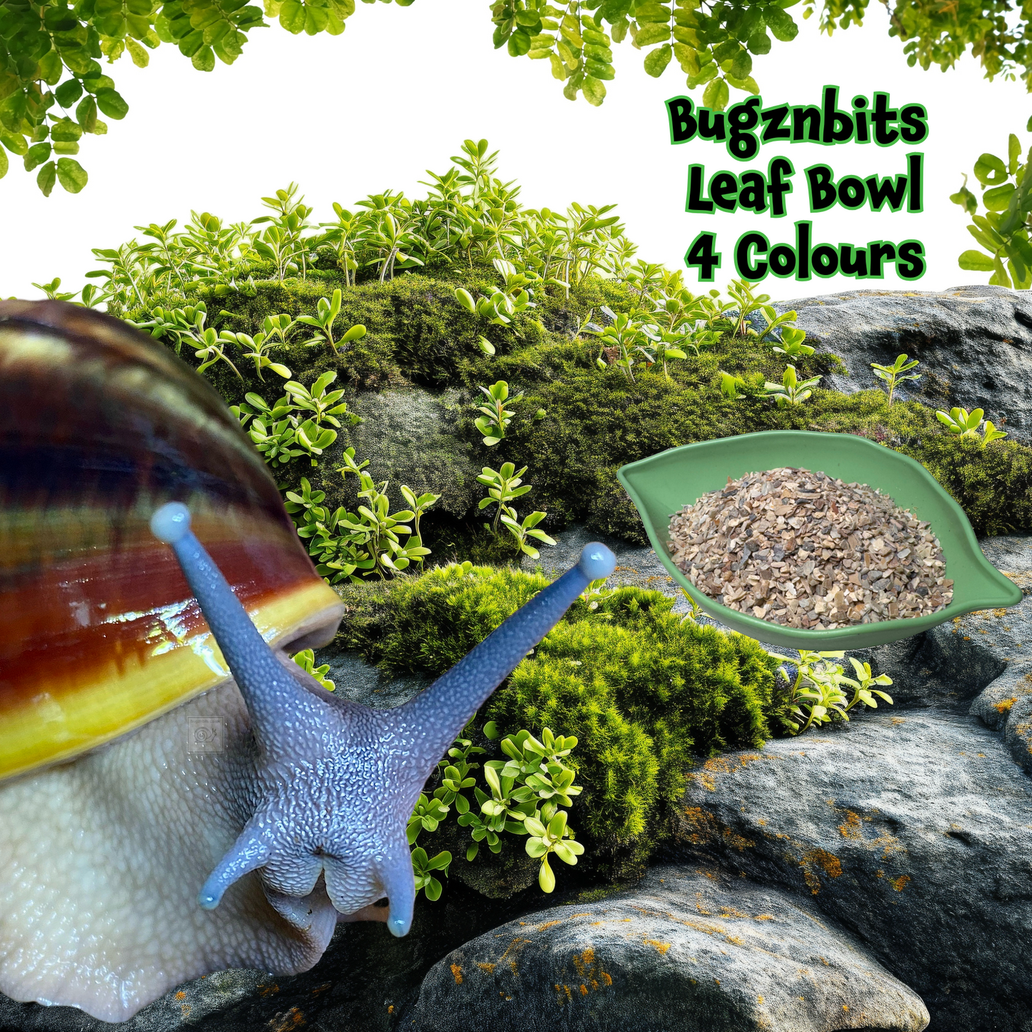 Bugznbits Colours, Small Pet Bowls