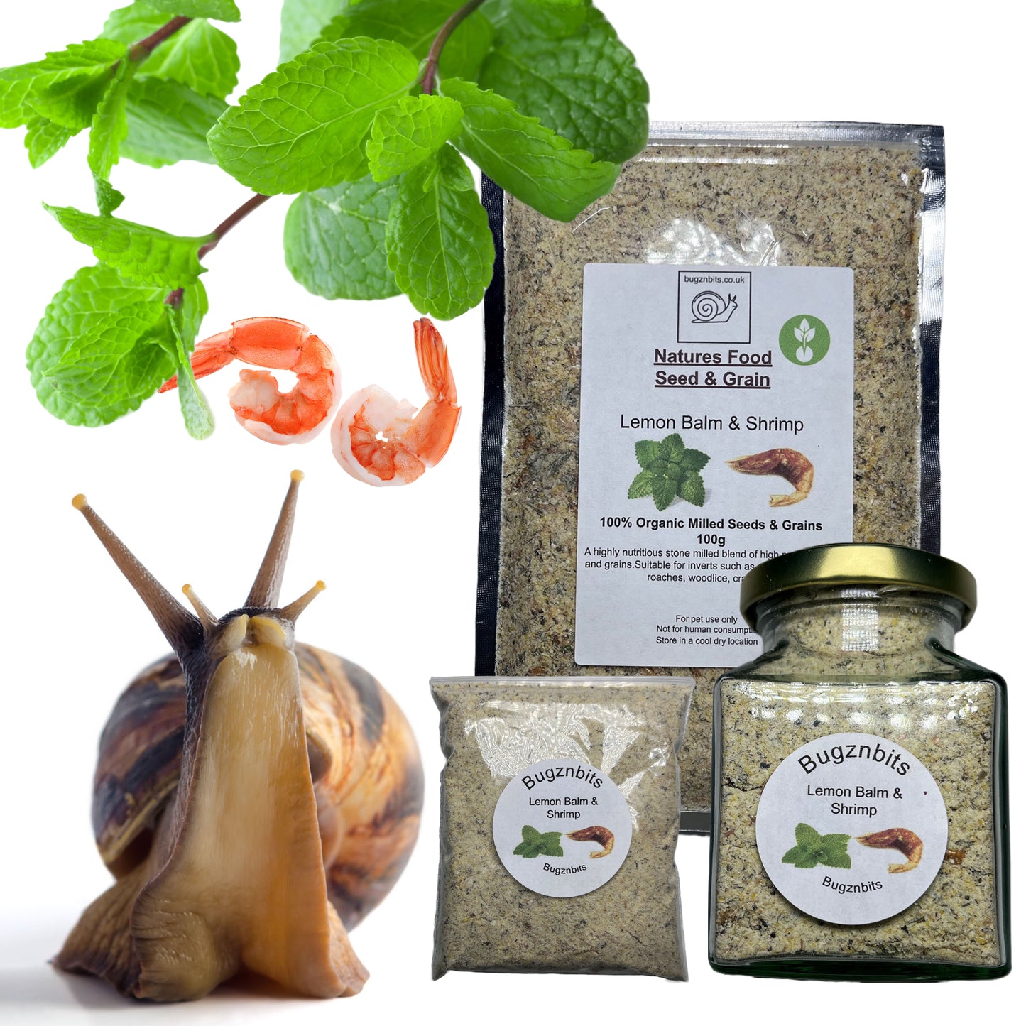 Premium Giant African Land Snail Food