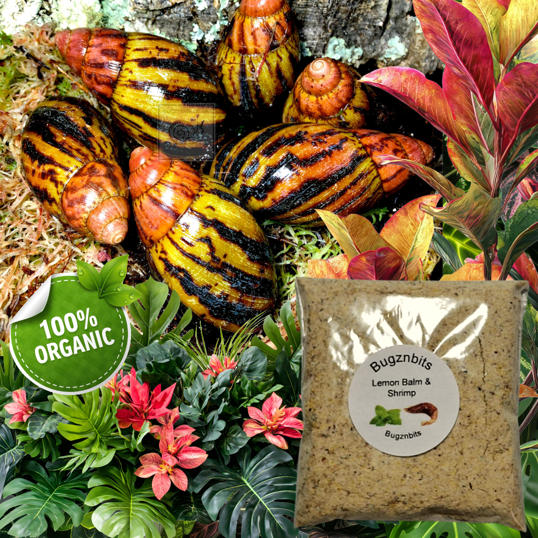 Natures Food Organic Snail Food Twin Sample Packs 30g – Choose 2 Flavours