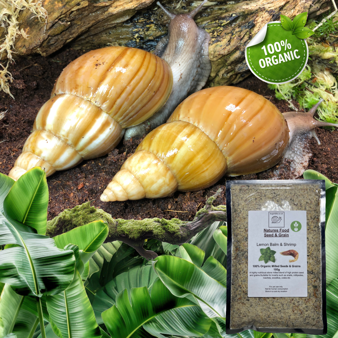 Natures Food Organic Snail Food TWIN 100g REFILL Pack  – Choose 100g packs