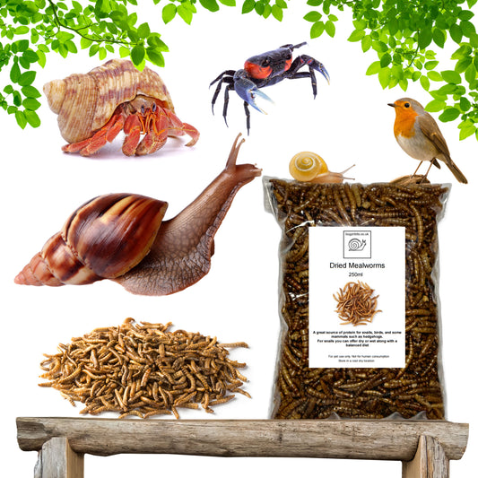 Oven Dried Mealworm
