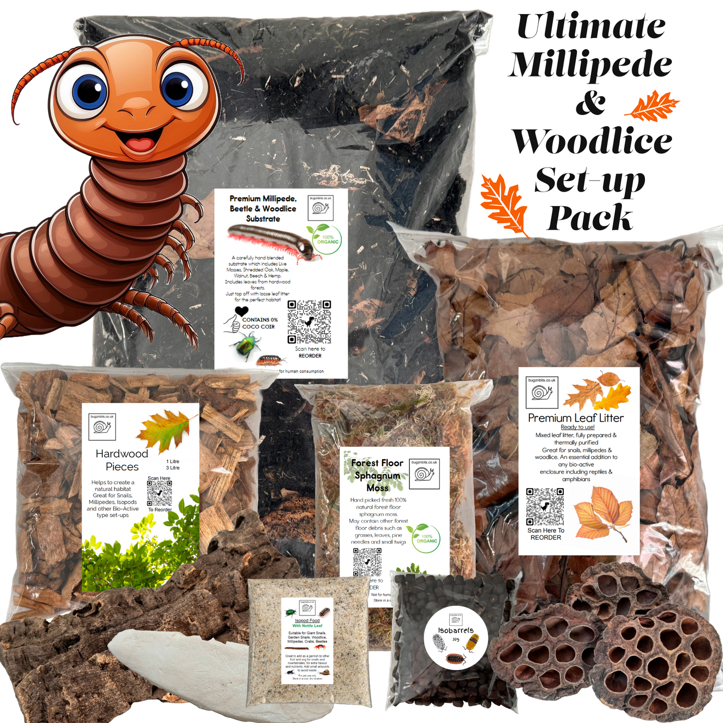 The Ultimate Millipede & Woodlice Set-Up Pack