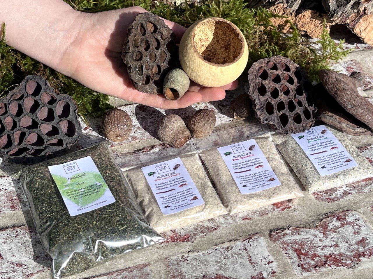 Millipede Triple Food, Play Pack