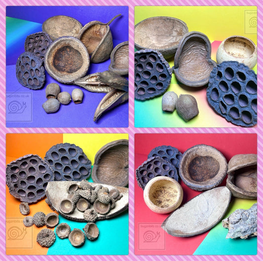 Natural Decor Pack, 4 options to choose from