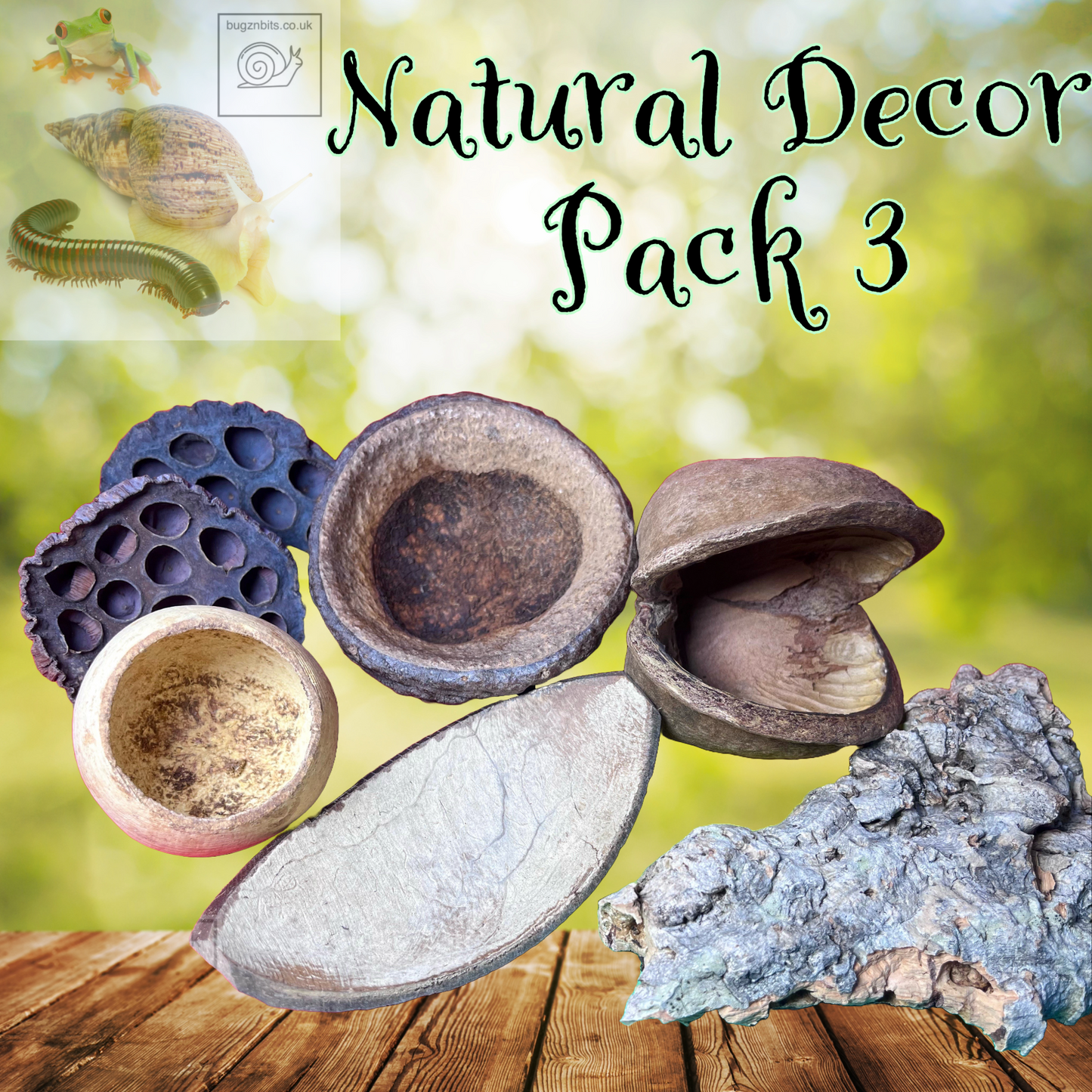 Natural Decor Pack, 4 options to choose from
