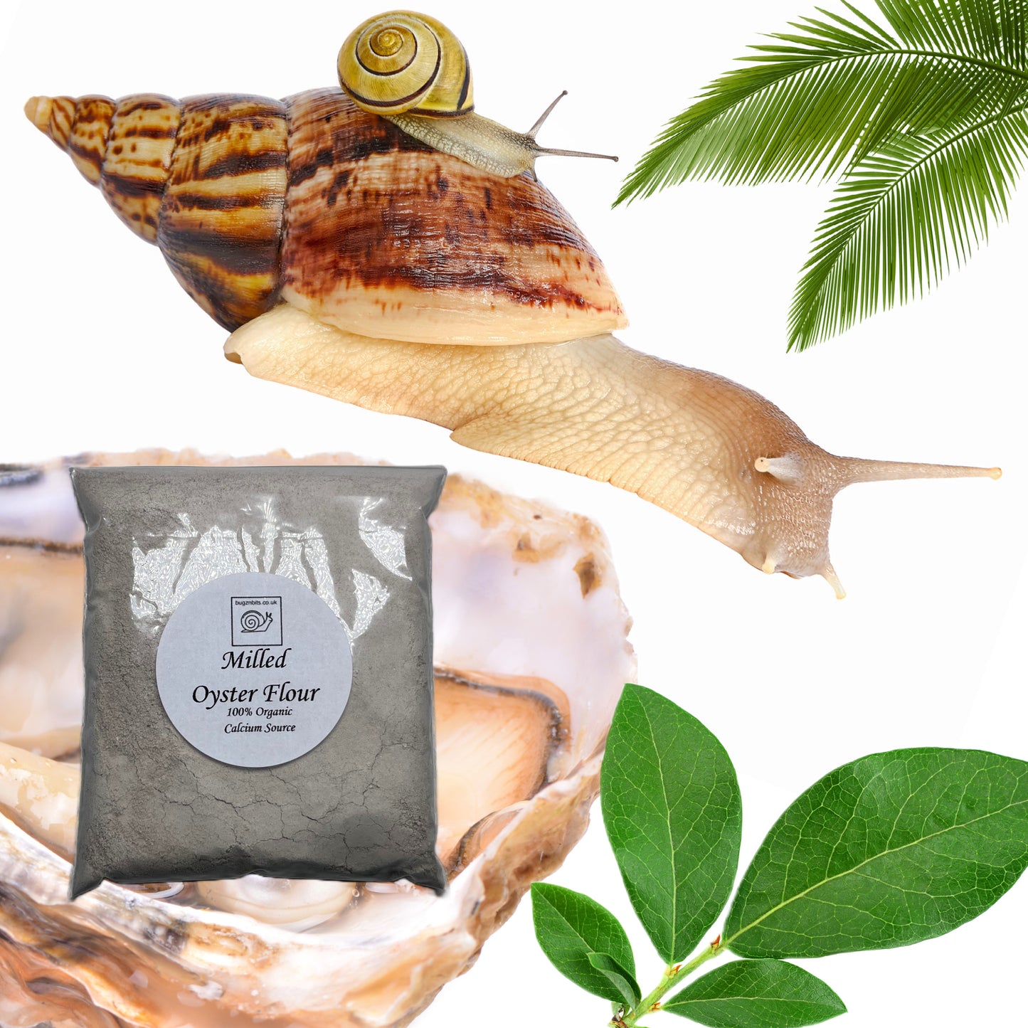 Milled Oyster Flour, Calcium & Mineral Supplement