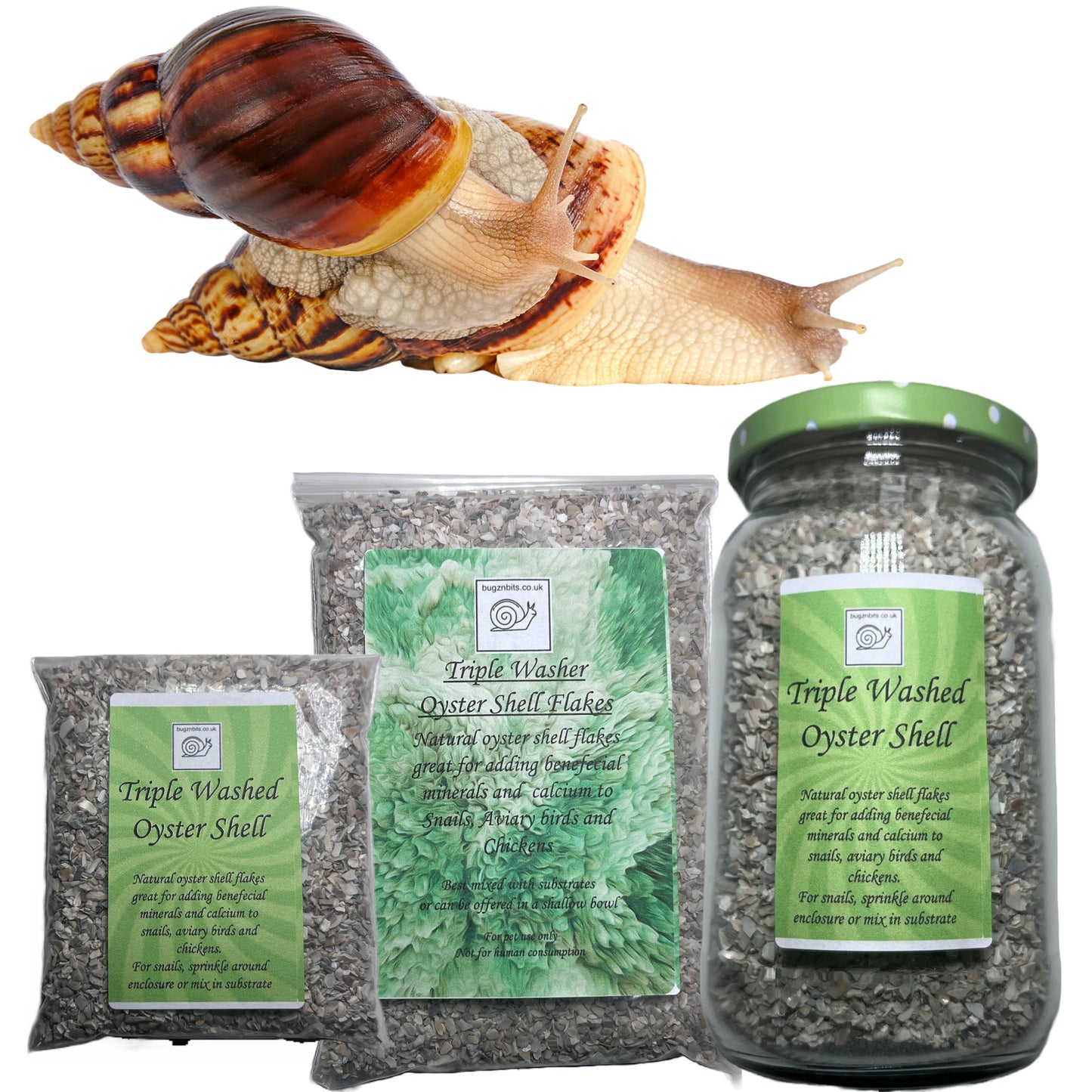 Triple washed Oyster shell flakes