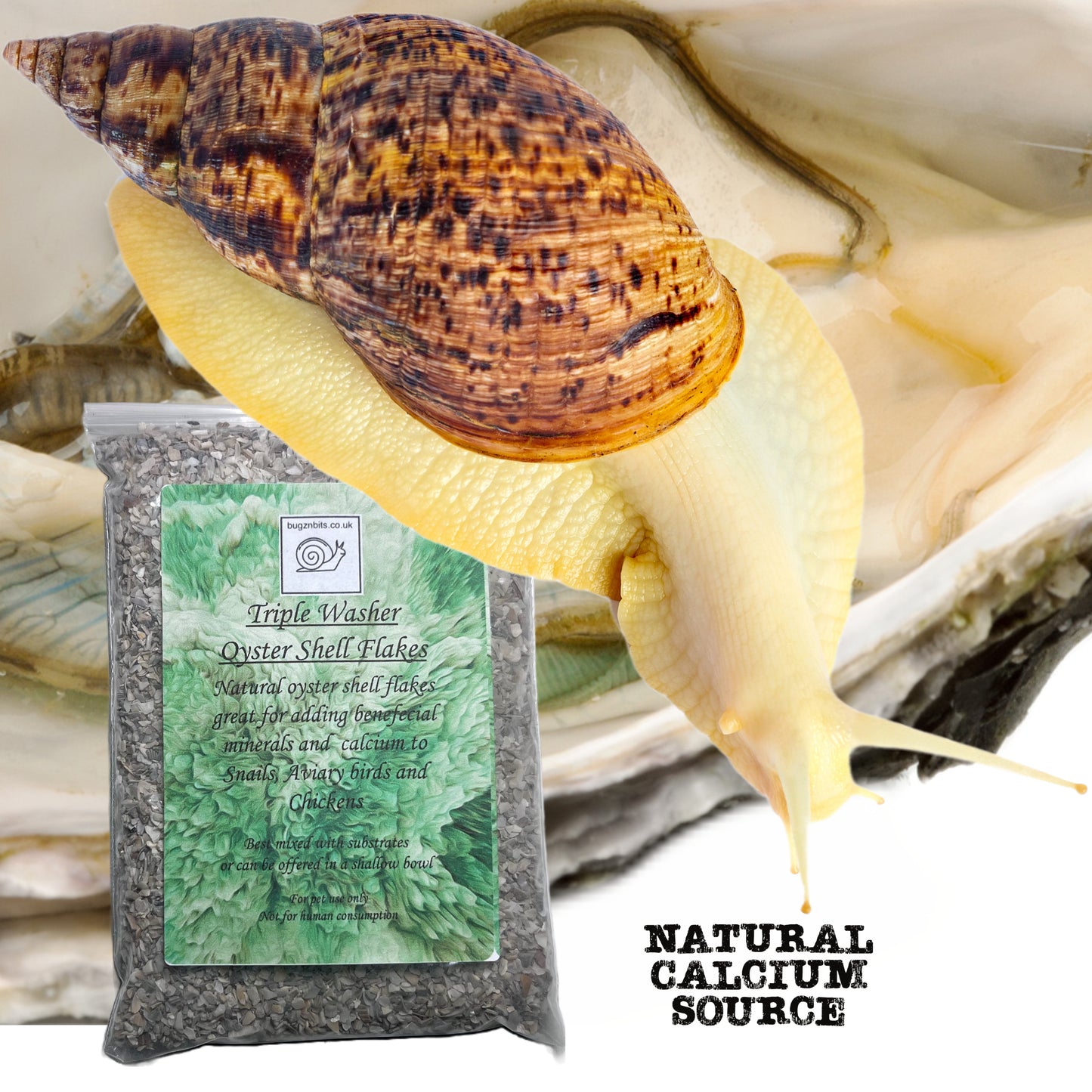Standard Substrate, Land Snail Set-Up Pack 10 Item Pack