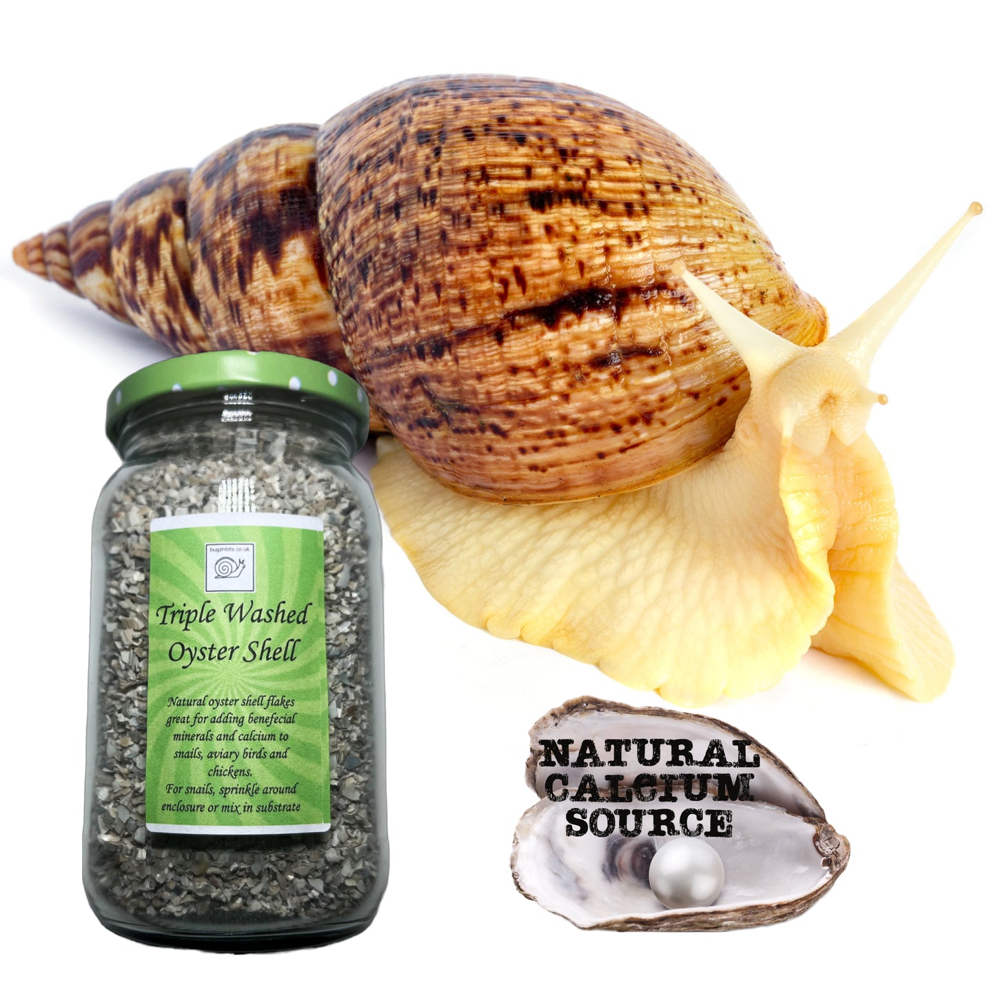 Triple washed Oyster shell flakes