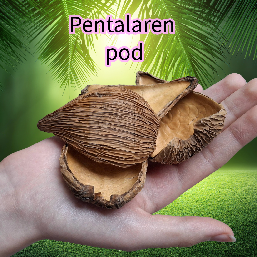 Pentalaren Pods/Leaf
