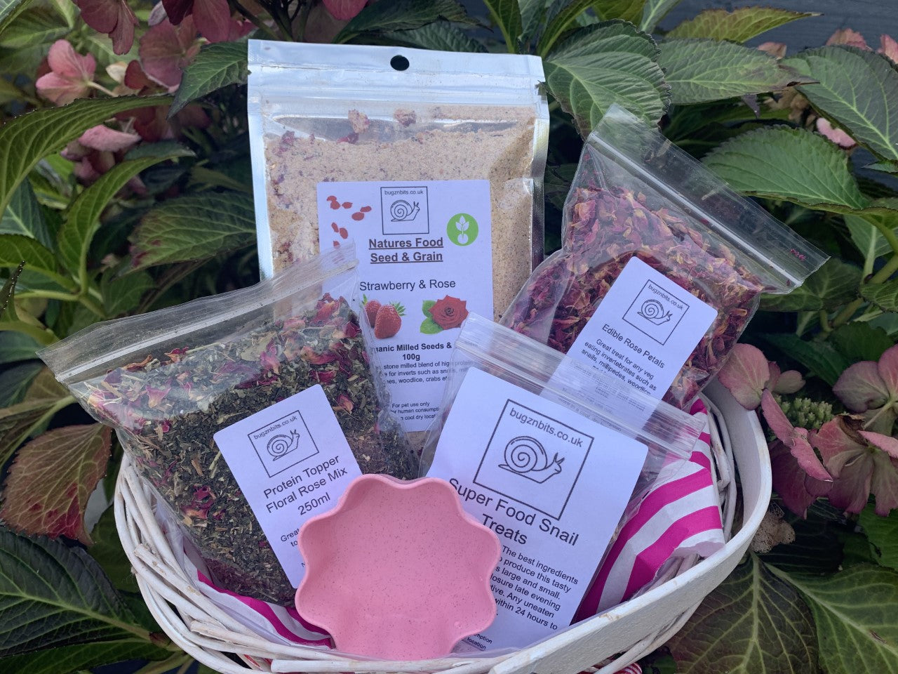 Pink Pack, snail accessory pack