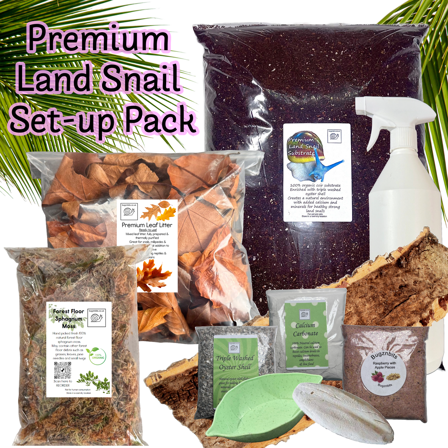 Premium Land Snail Set-Up Pack, 10 Item Pack