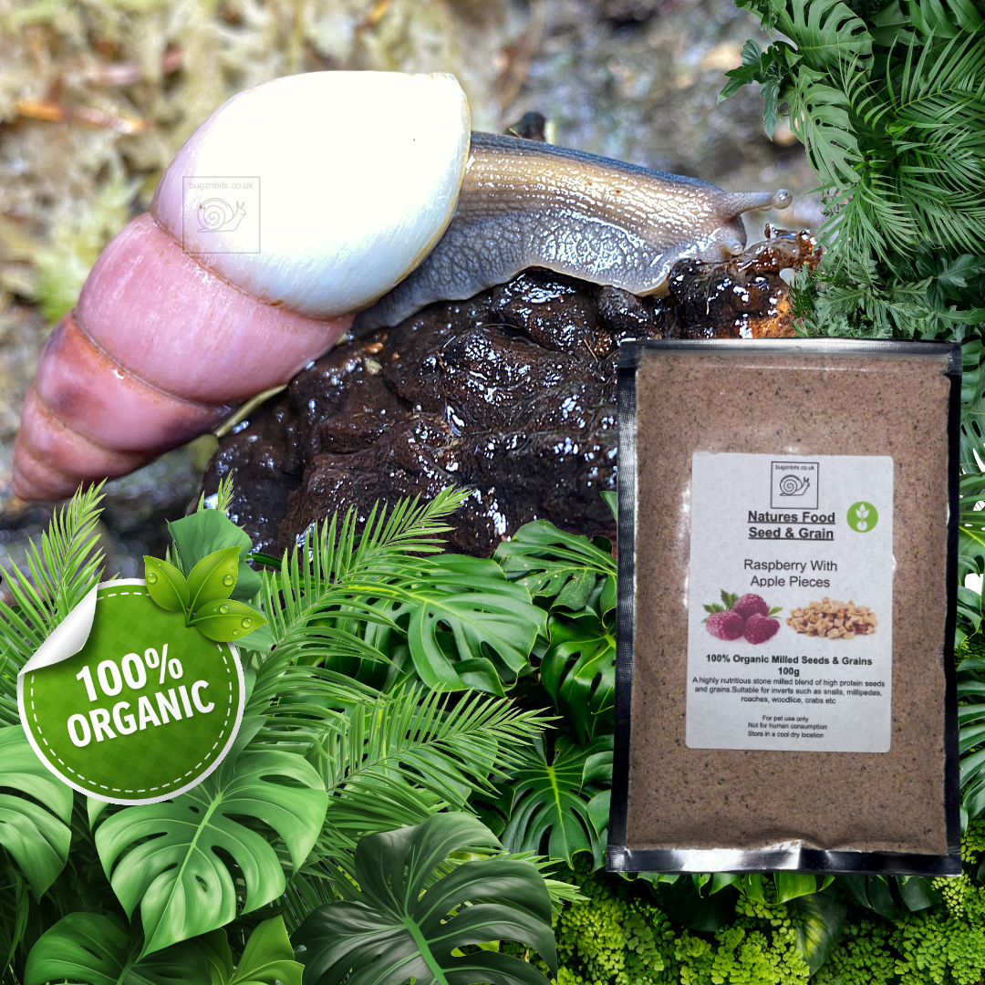 Natures Food Organic Snail Food TWIN 100g REFILL Pack  – Choose 100g packs