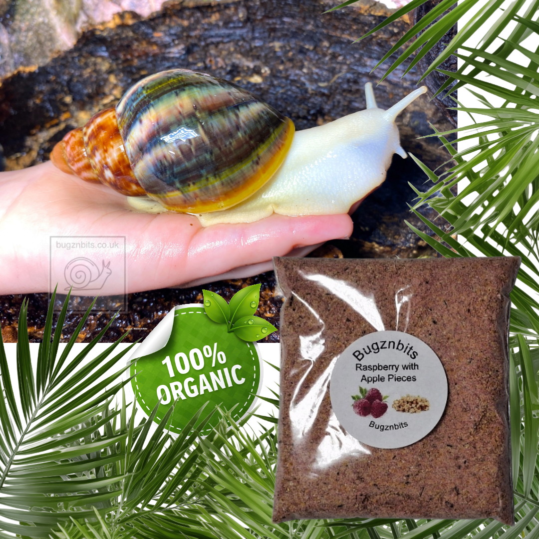 Natures Food Organic Snail Food Twin Sample Packs 30g – Choose 2 Flavours