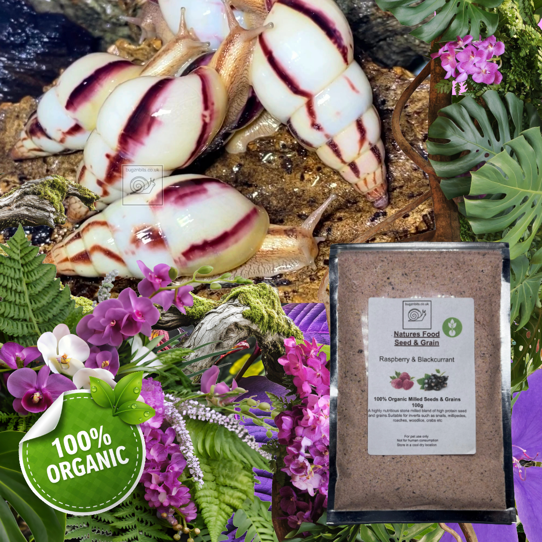 Natures Food Organic Snail Food TWIN 100g REFILL Pack  – Choose 100g packs