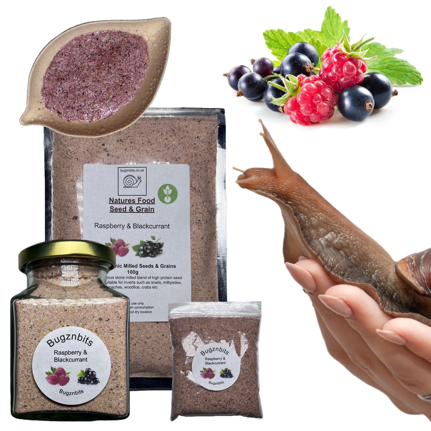 Premium Giant African Land Snail Food