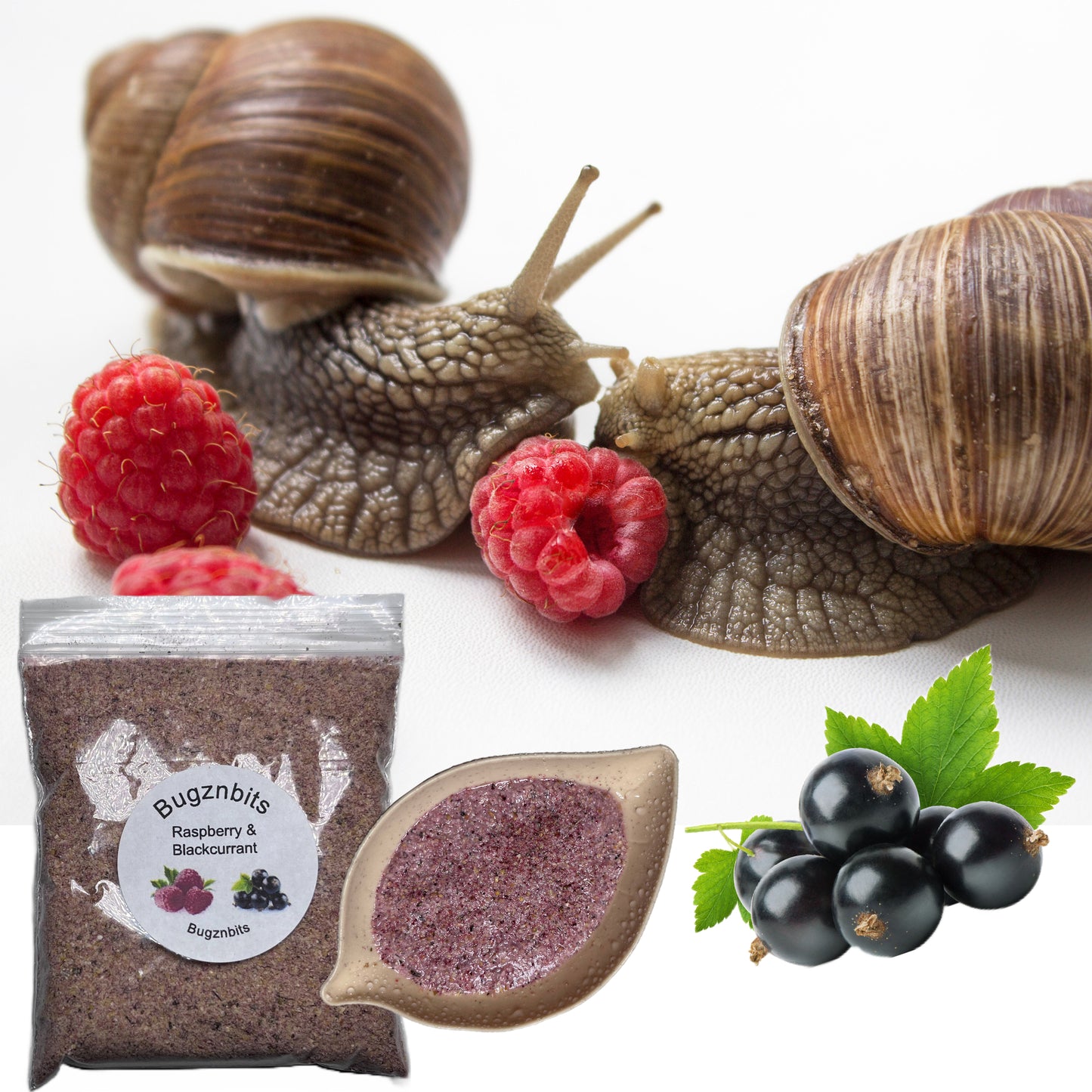 Triple Bowl Pack with Free Food Sample