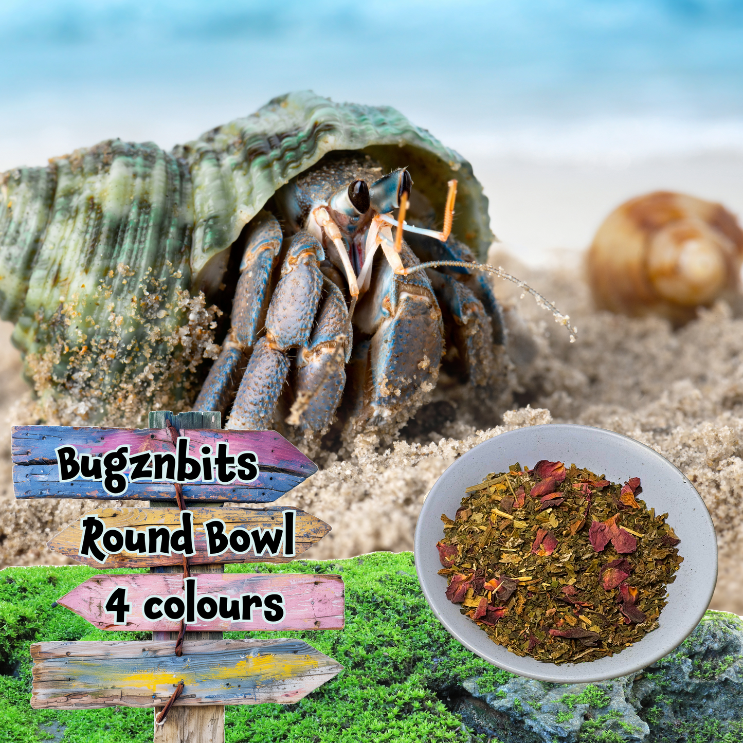 Bugznbits Colours, Small Pet Bowls