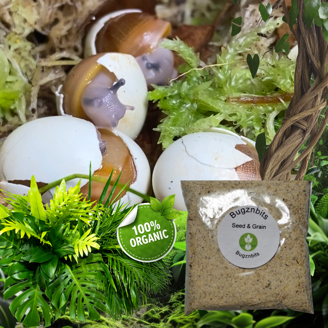 Land Snail Food 30g Sample Pack