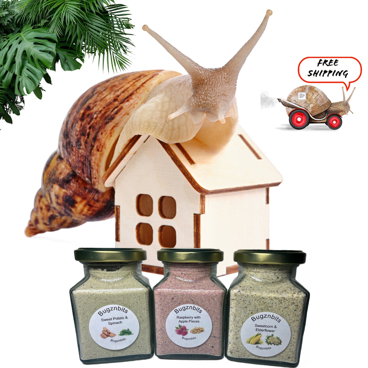 Premium Land Snail Food, 3 x 200ml Jars