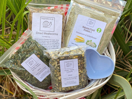 Snail Crazy Pack, Snail Food Pack with Free Bowl