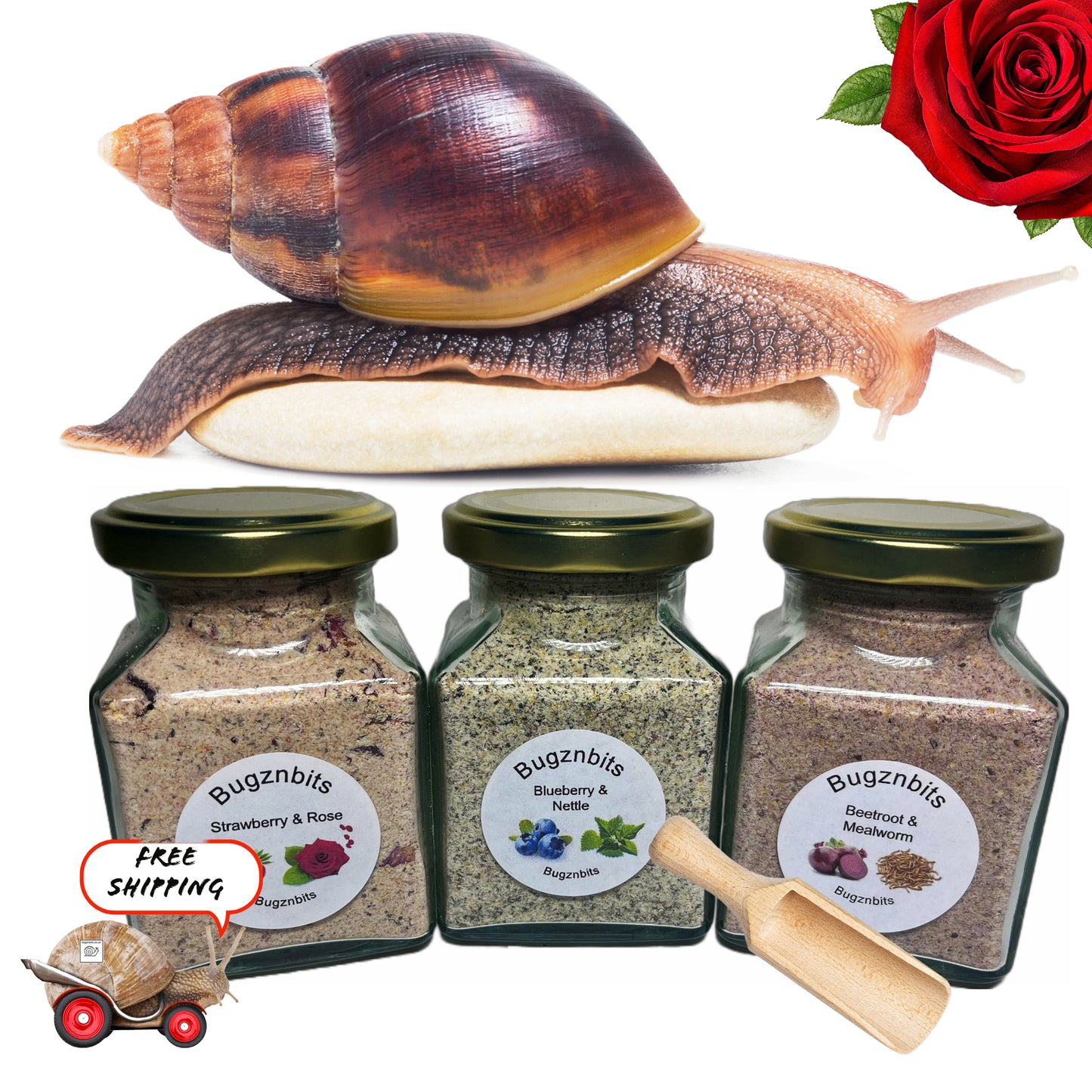 Premium Land Snail Food, 3 x 200ml Jars