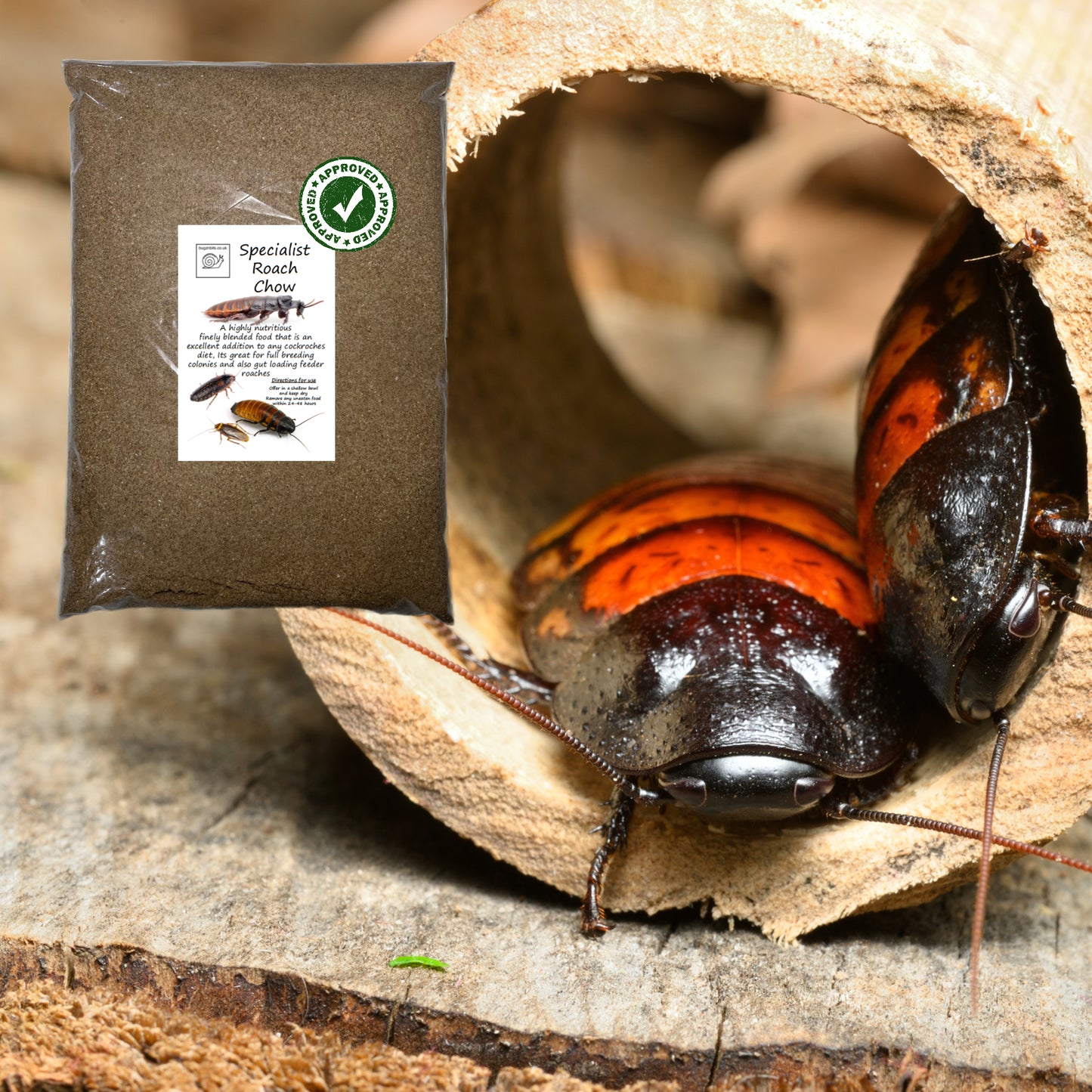 Specialist Roach Chow, 2 Variations To Choose From