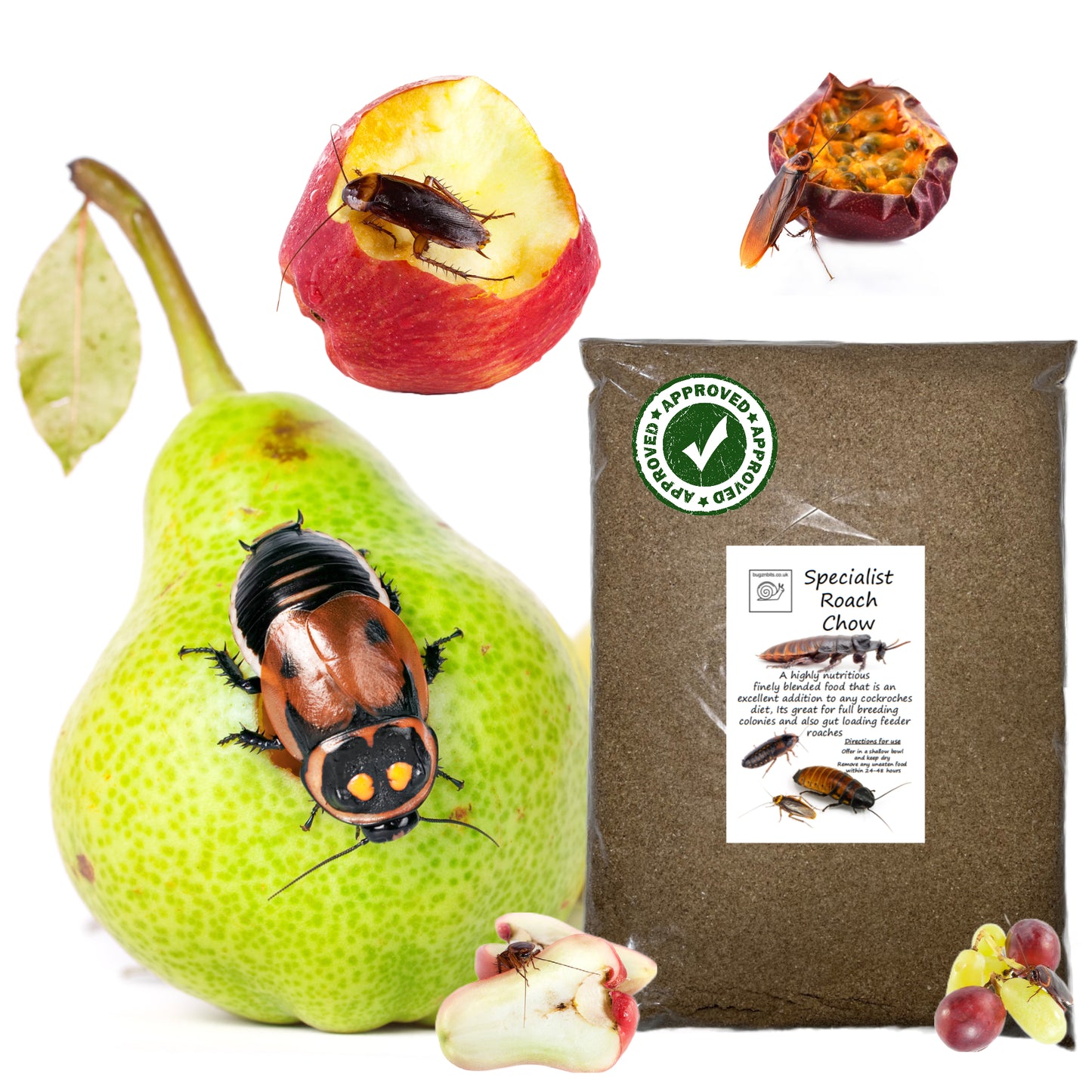 Specialist Roach Chow, 2 Variations To Choose From