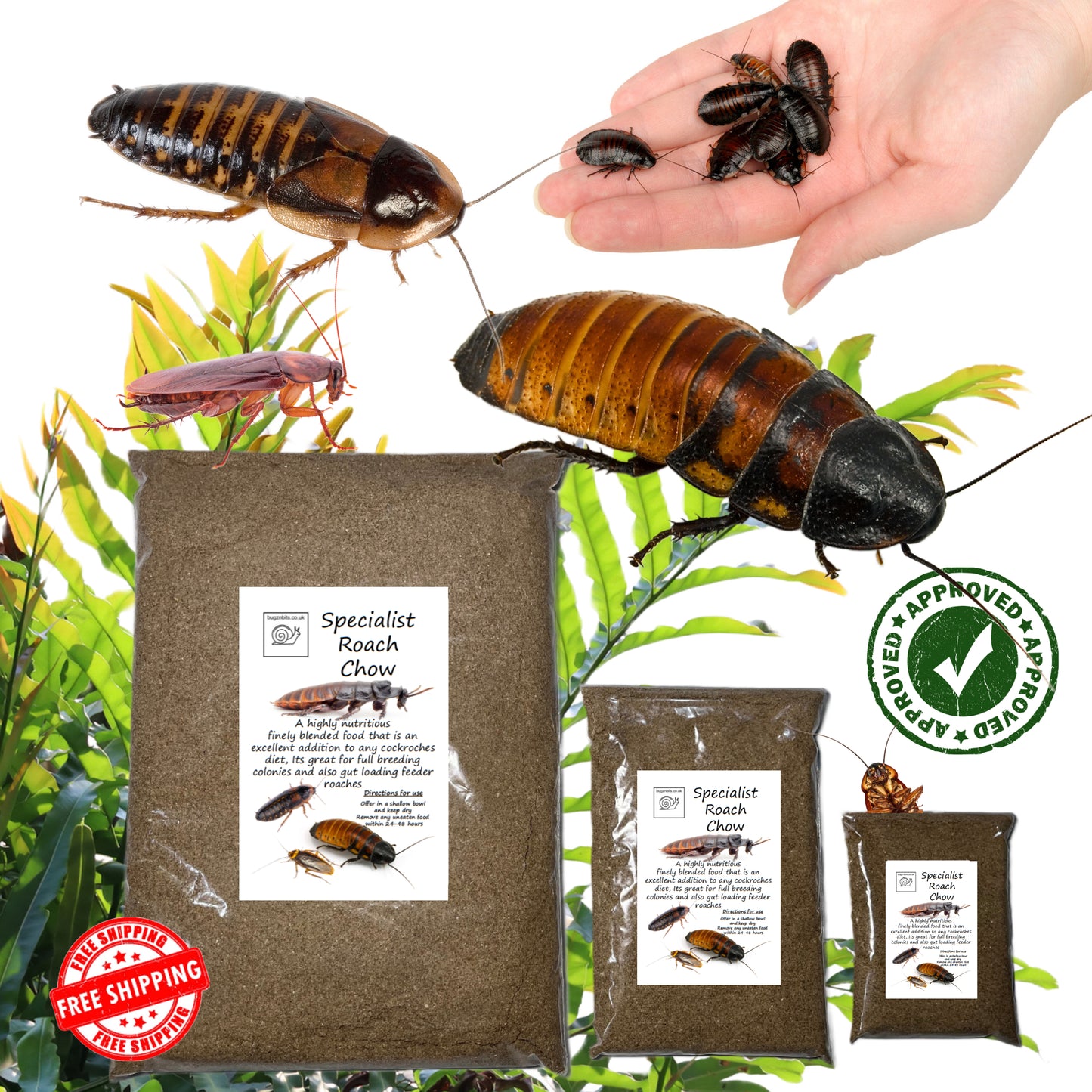 Specialist Roach Chow, 2 Variations To Choose From