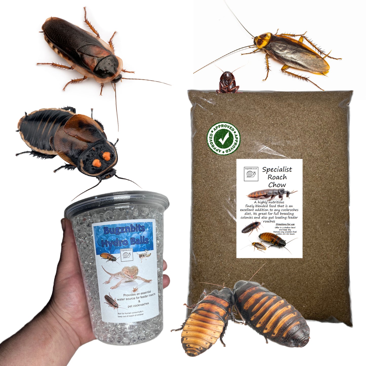 Specialist Roach Chow & Hydro Ball Pack