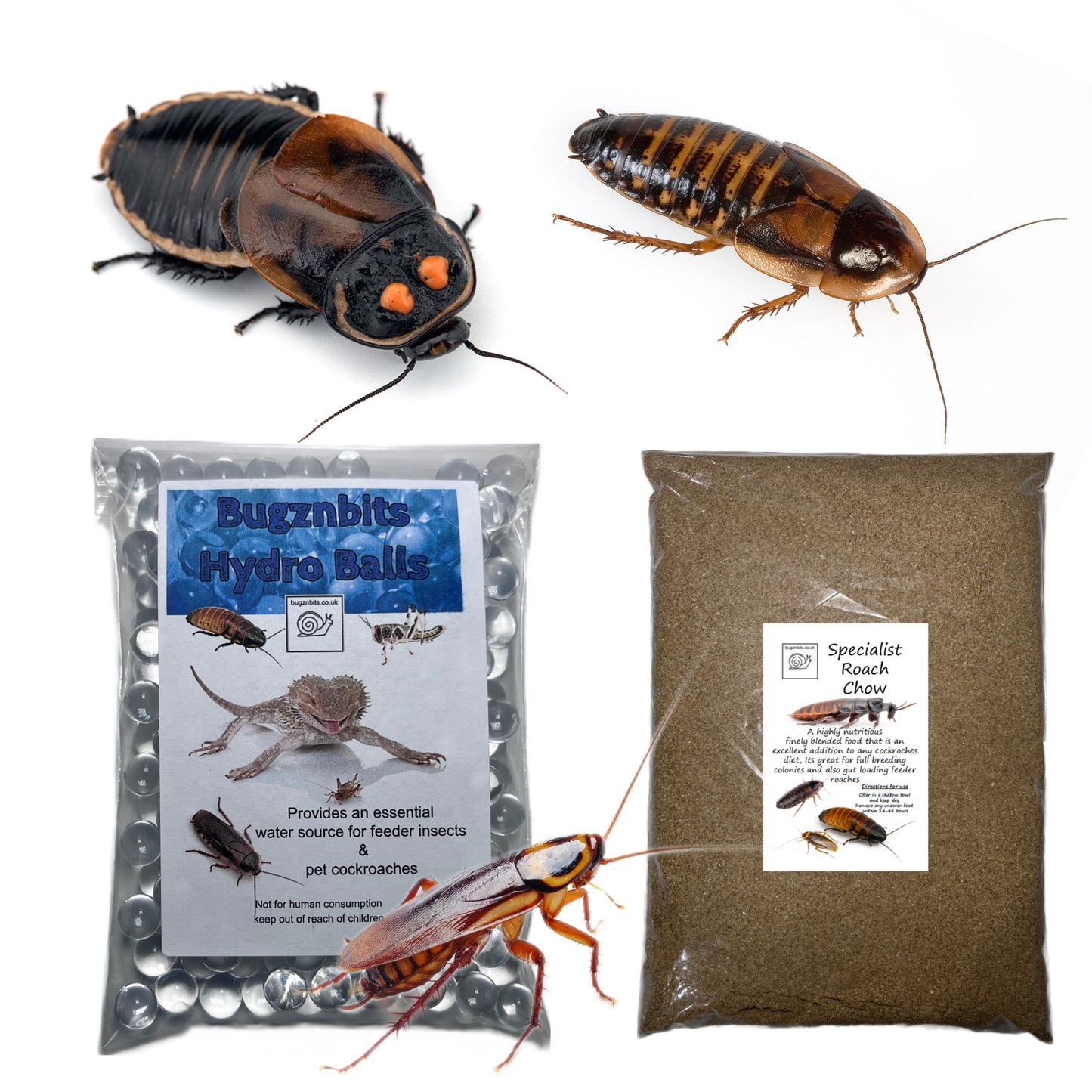 Specialist Roach Chow & Hydro Ball Pack