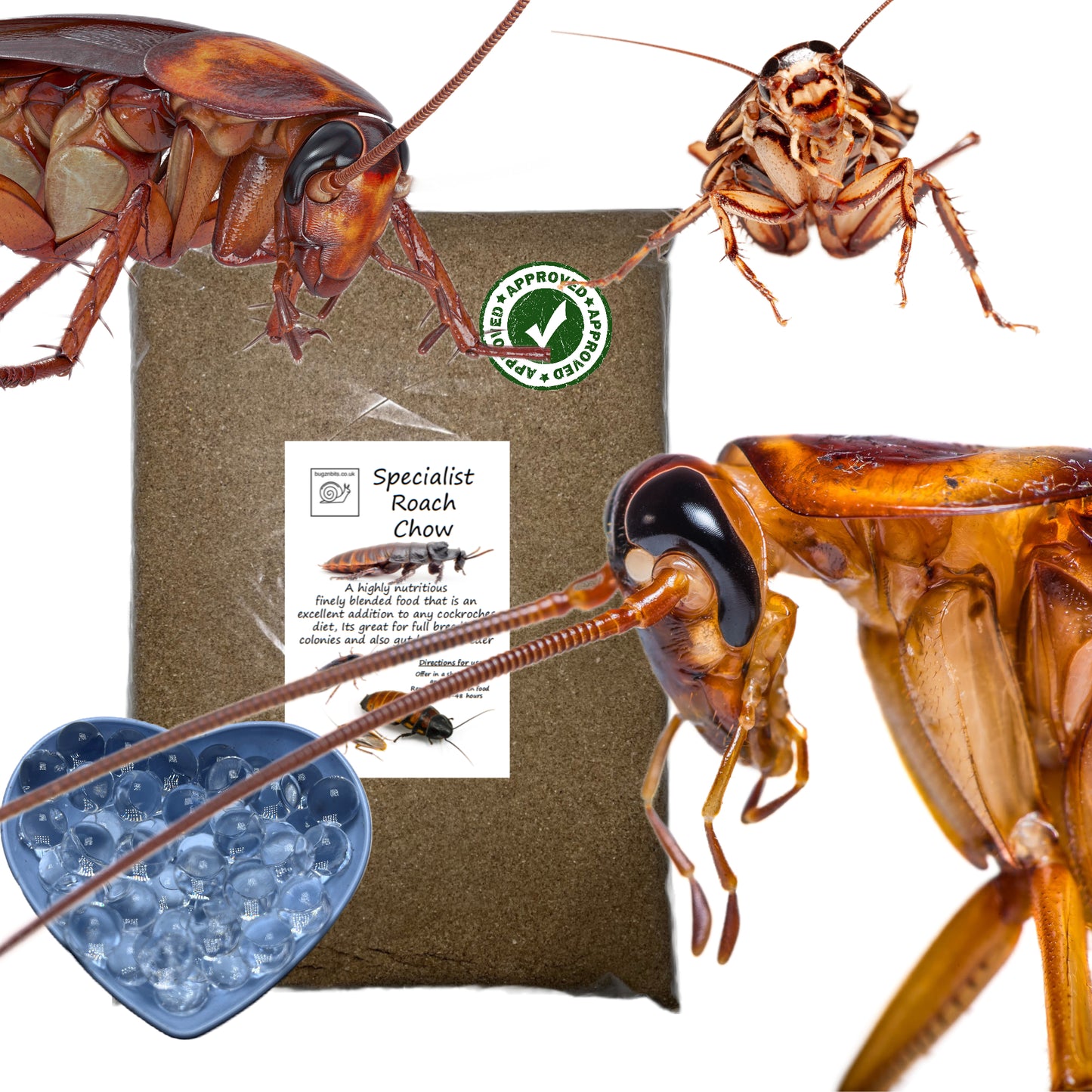 Specialist Roach Chow & Hydro Ball Pack