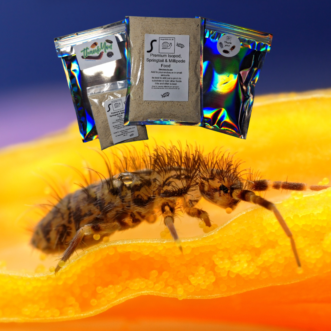 Springtail and Isopod Booster Food