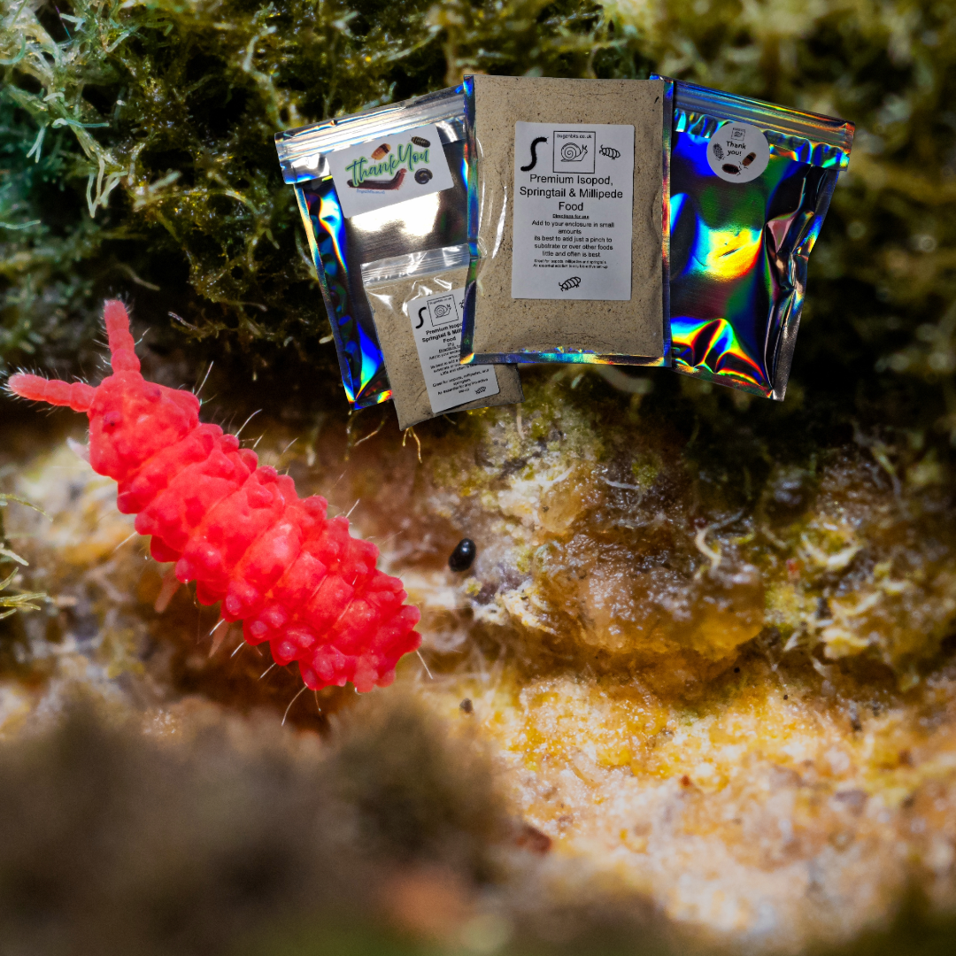 Springtail and Isopod Booster Food