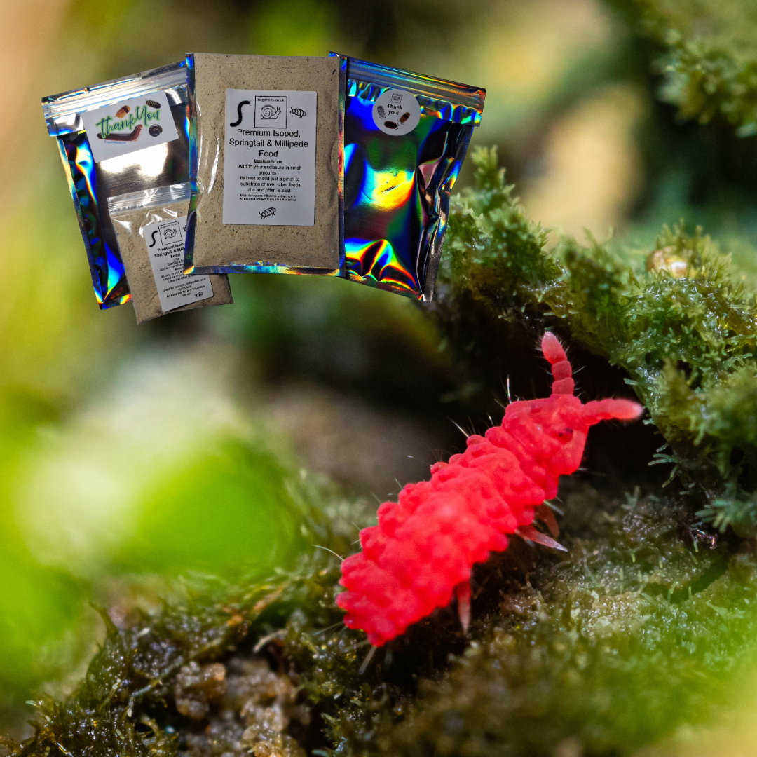 Springtail and Isopod Booster Food