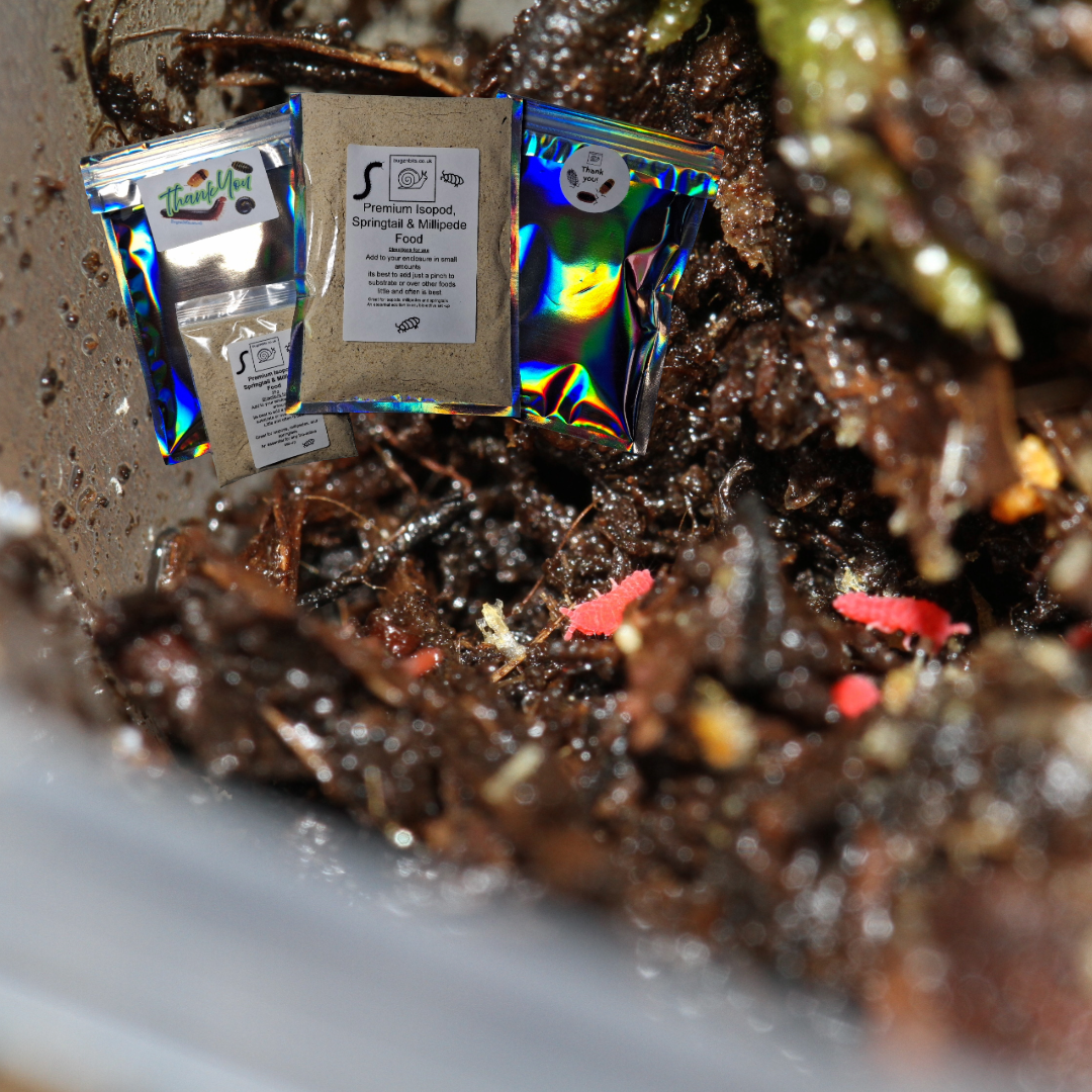 Springtail and Isopod Booster Food