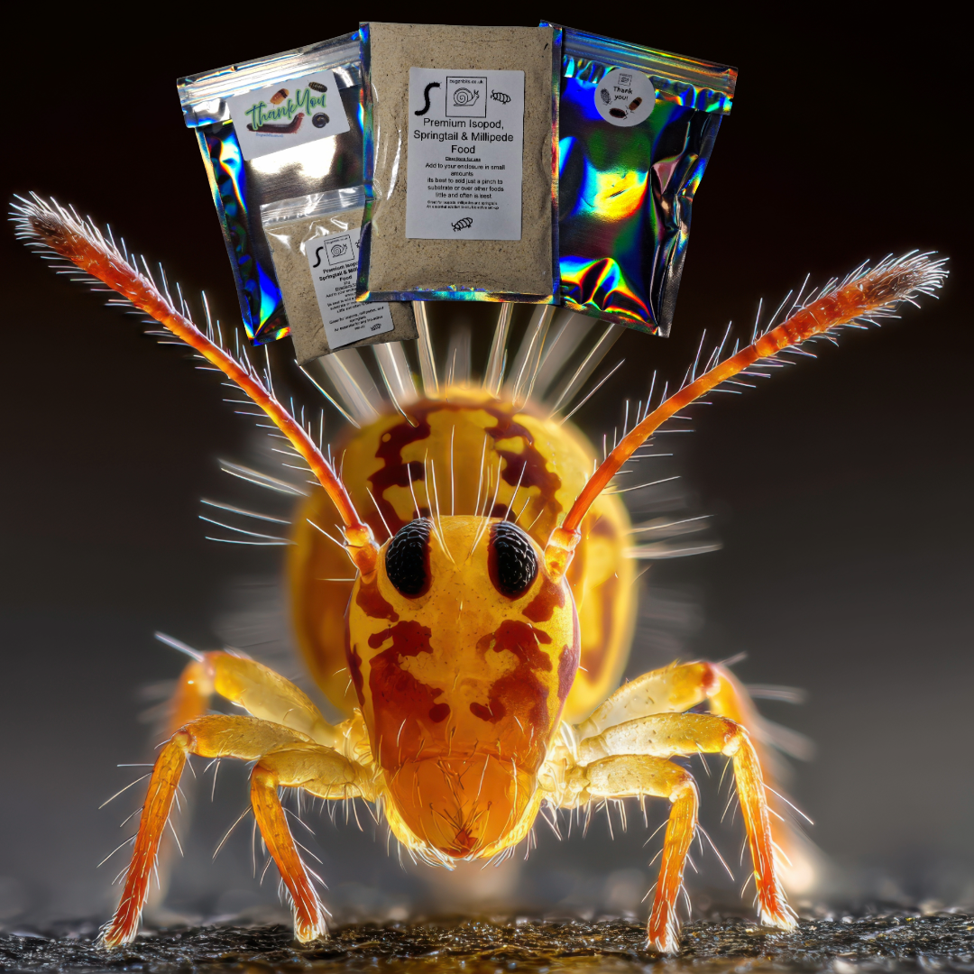 Springtail and Isopod Booster Food
