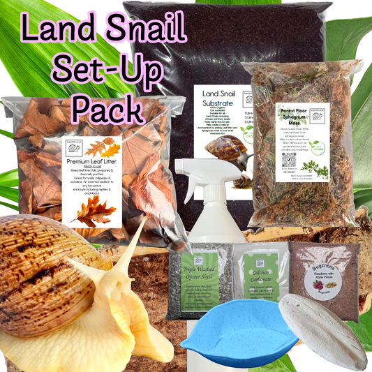 Standard Substrate, Land Snail Set-Up Pack 10 Item Pack