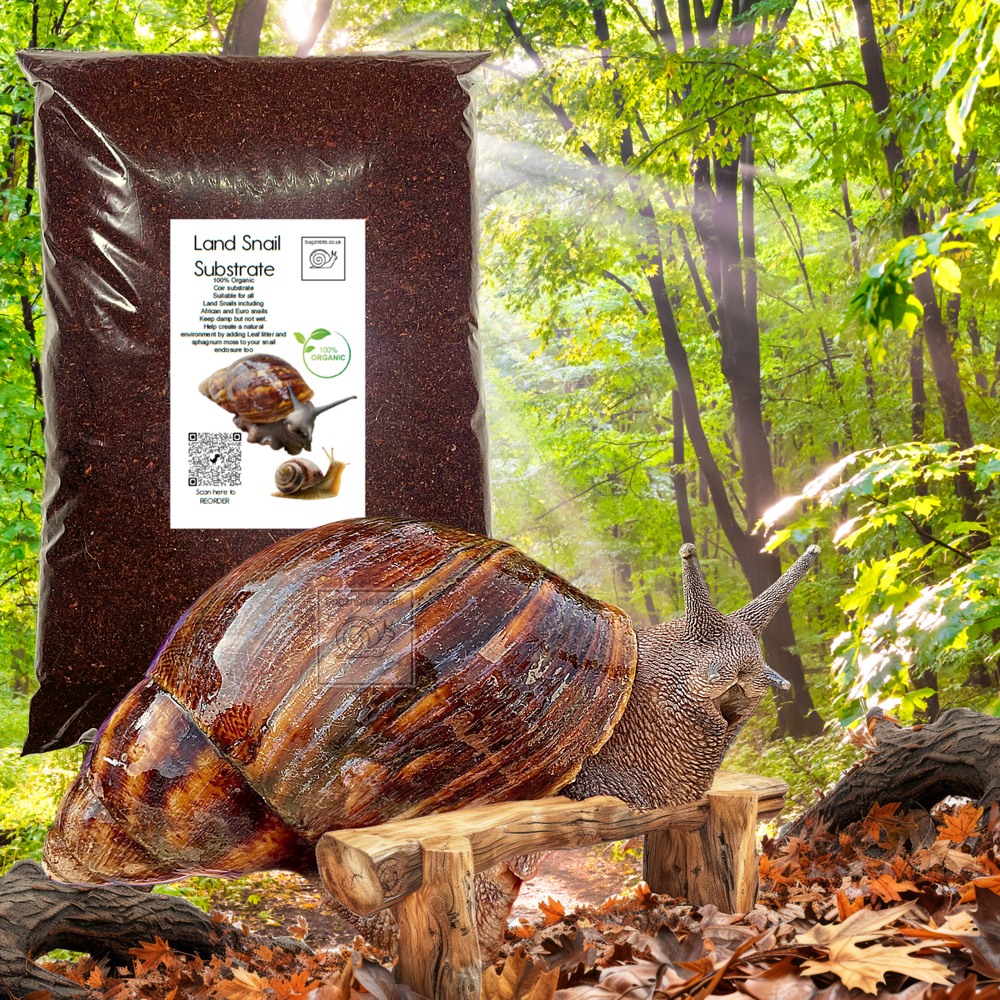 Standard Substrate, Land Snail Set-Up Pack 10 Item Pack