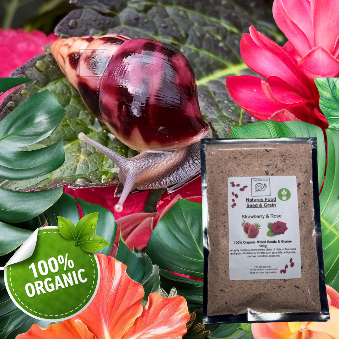 Natures Food Organic Snail Food TWIN 100g REFILL Pack  – Choose 100g packs