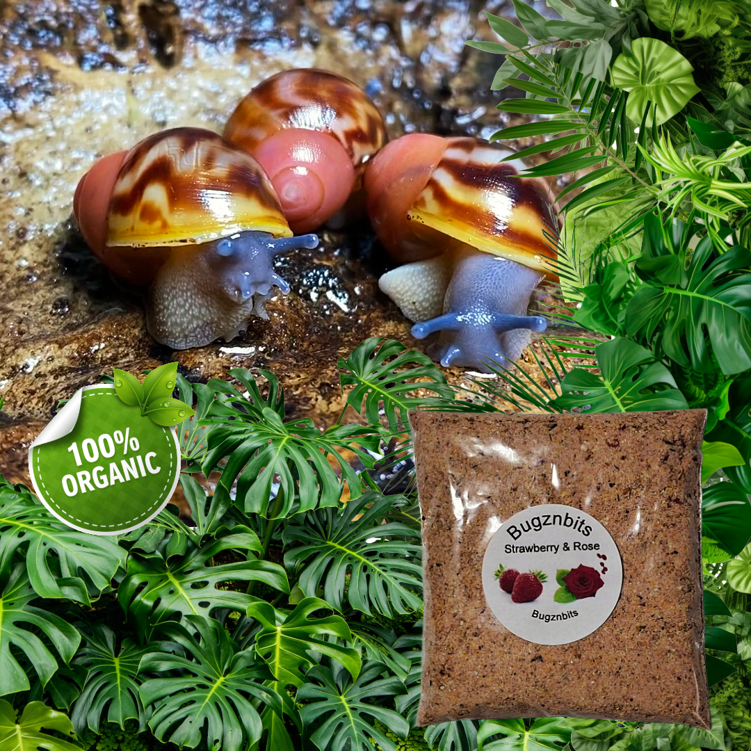 Natures Food Organic Snail Food Twin Sample Packs 30g – Choose 2 Flavours