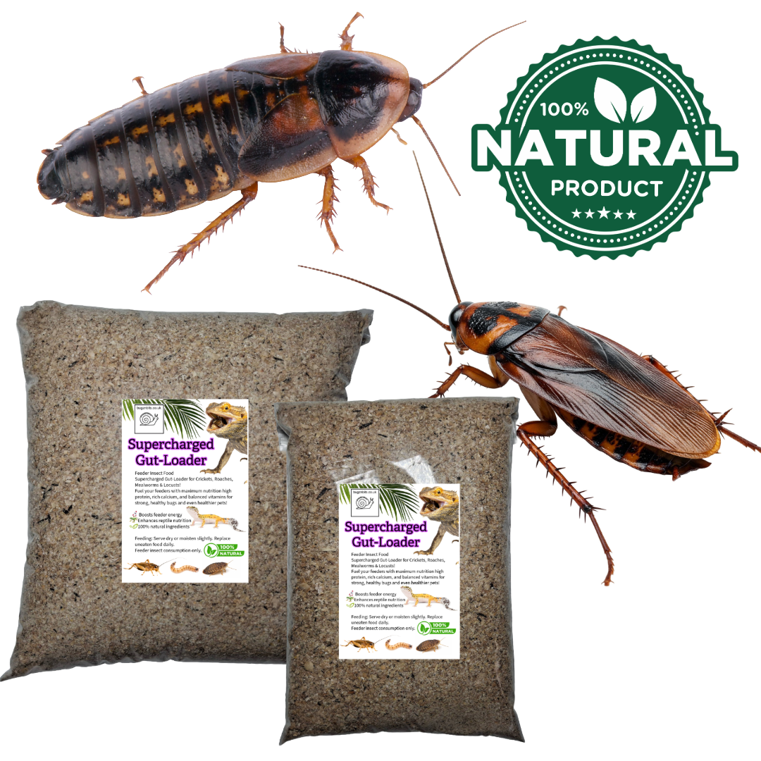 Supercharged Bug-Booster Gut-Loading Feed