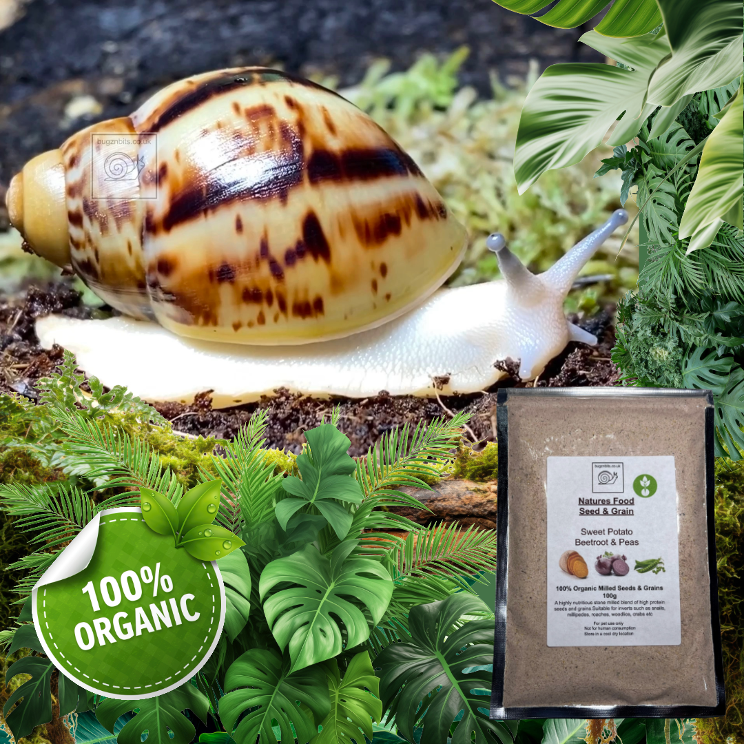 Natures Food Organic Snail Food TWIN 100g REFILL Pack  – Choose 100g packs