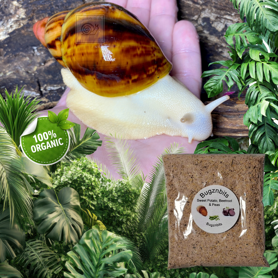 Natures Food Organic Snail Food Twin Sample Packs 30g – Choose 2 Flavours