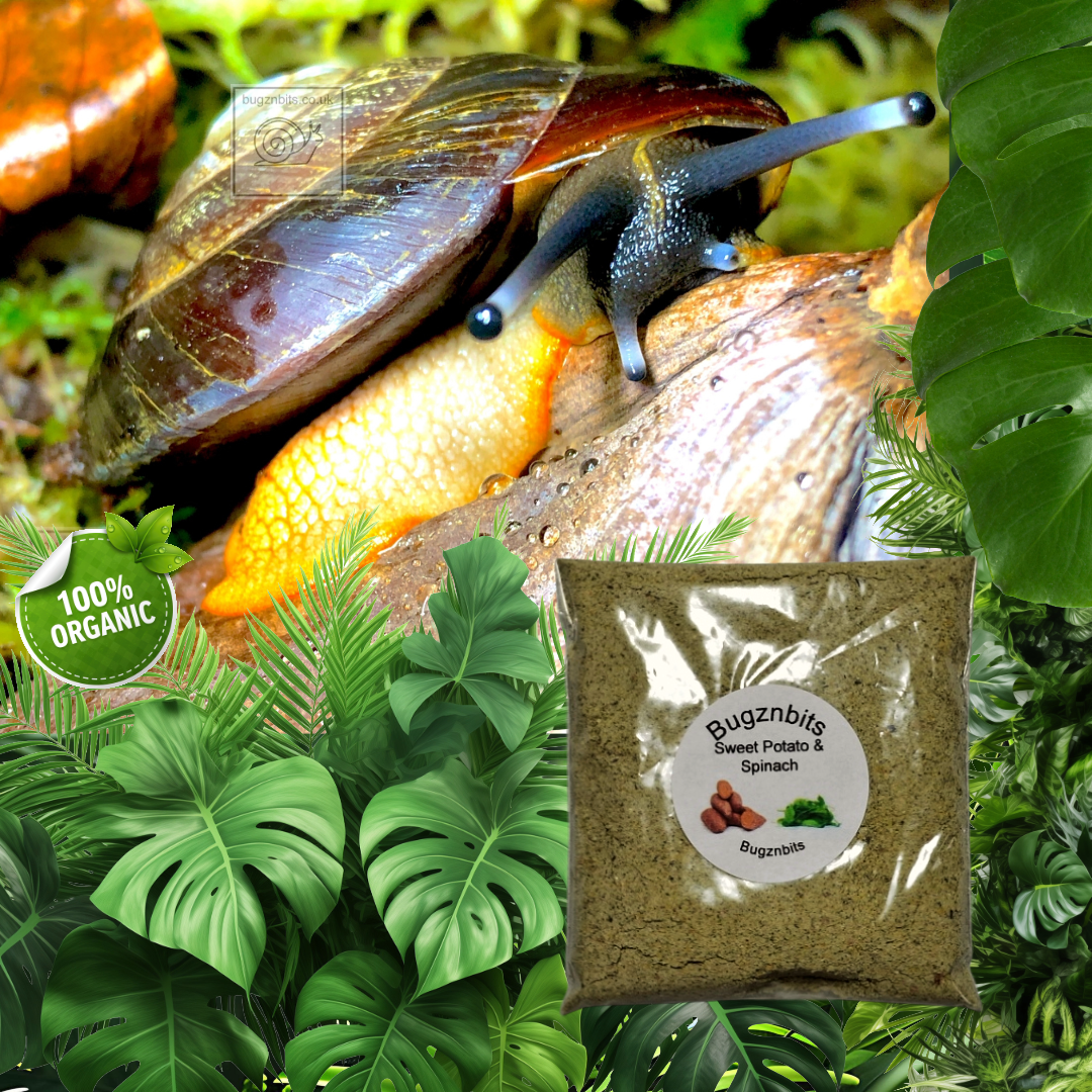Natures Food Organic Snail Food Twin Sample Packs 30g – Choose 2 Flavours