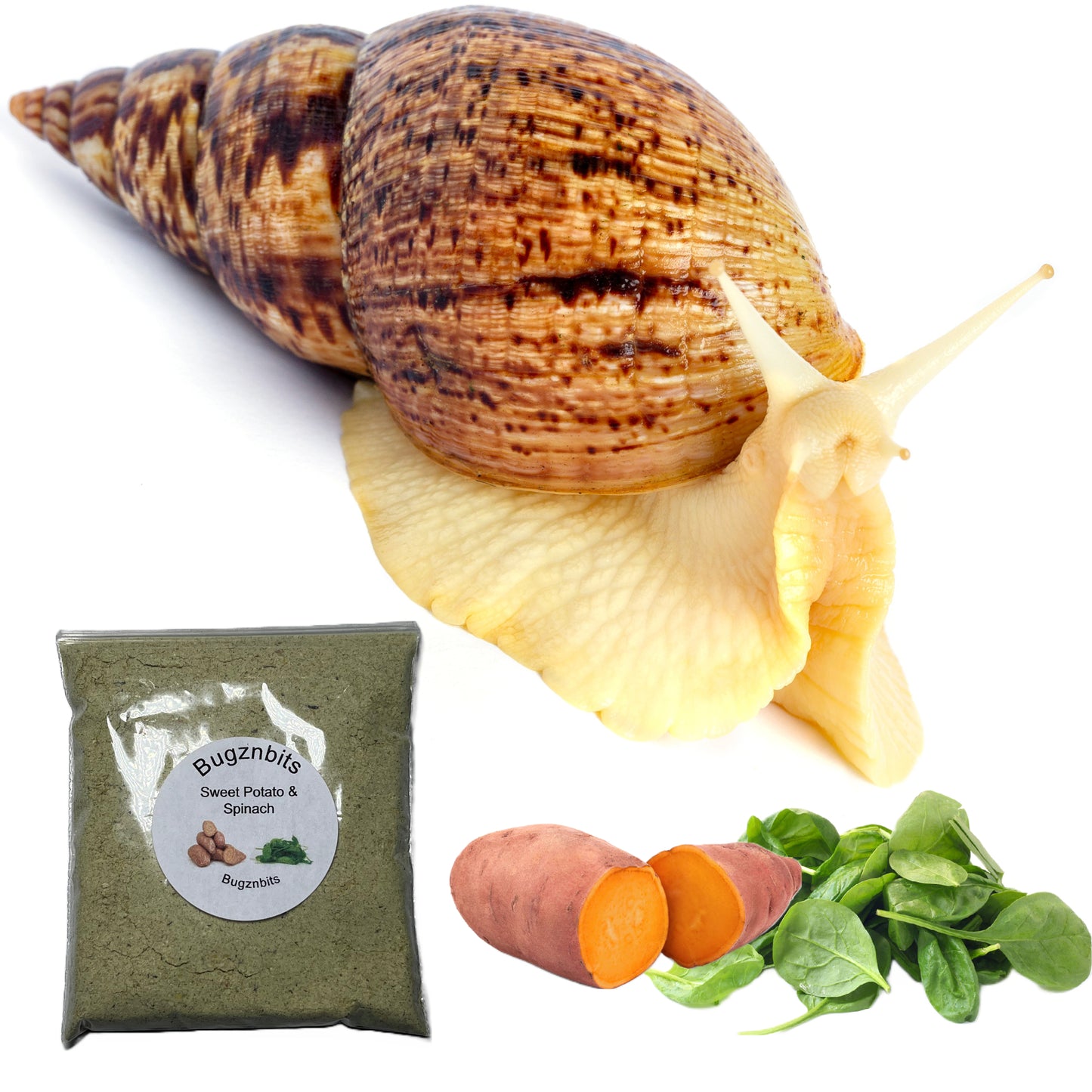 Triple Bowl Pack with Free Food Sample