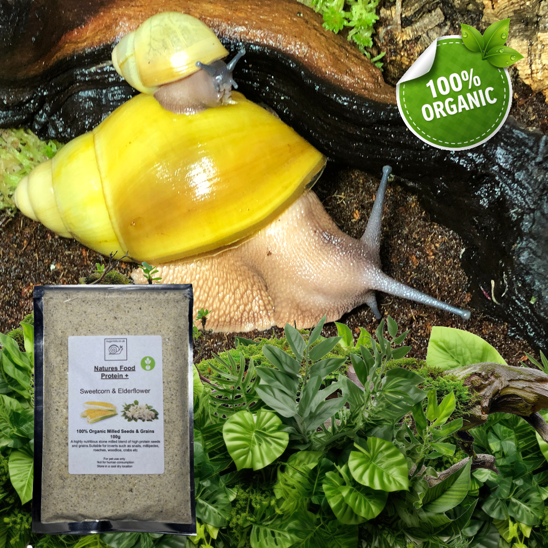 Natures Food Organic Snail Food TWIN 100g REFILL Pack  – Choose 100g packs
