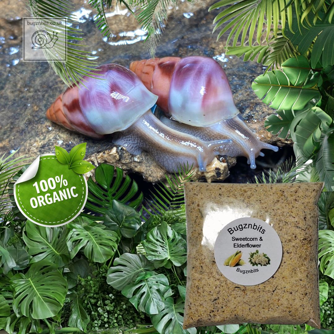 Premium Land Snail Food, The Ultimate Sample Pack, 10 Items